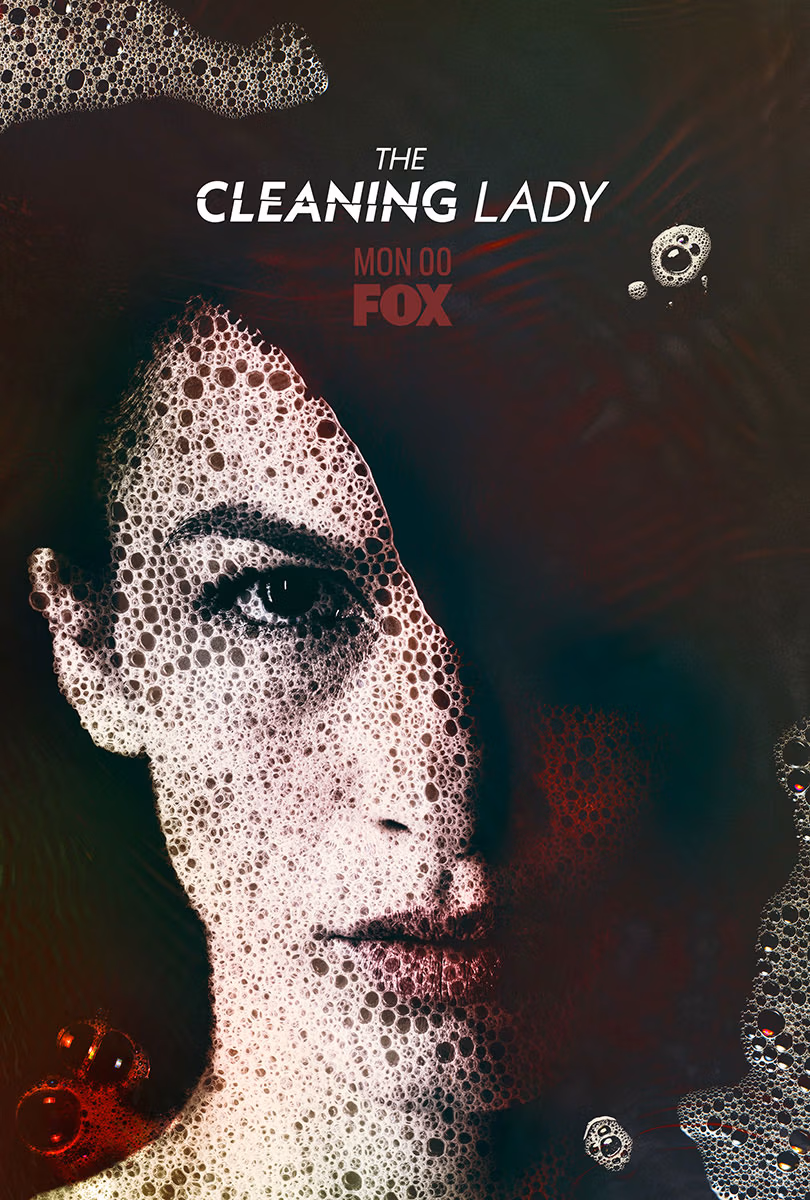 THE CLEANING LADY