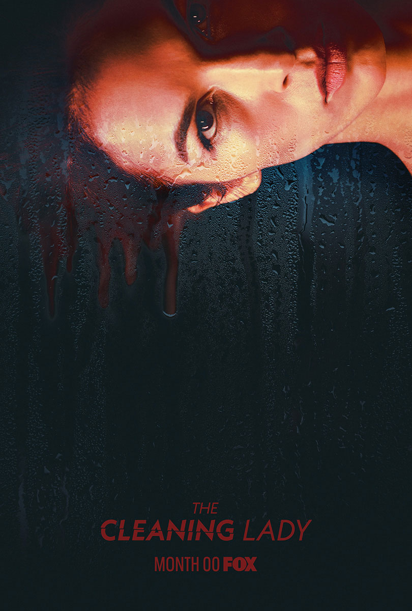 THE CLEANING LADY
